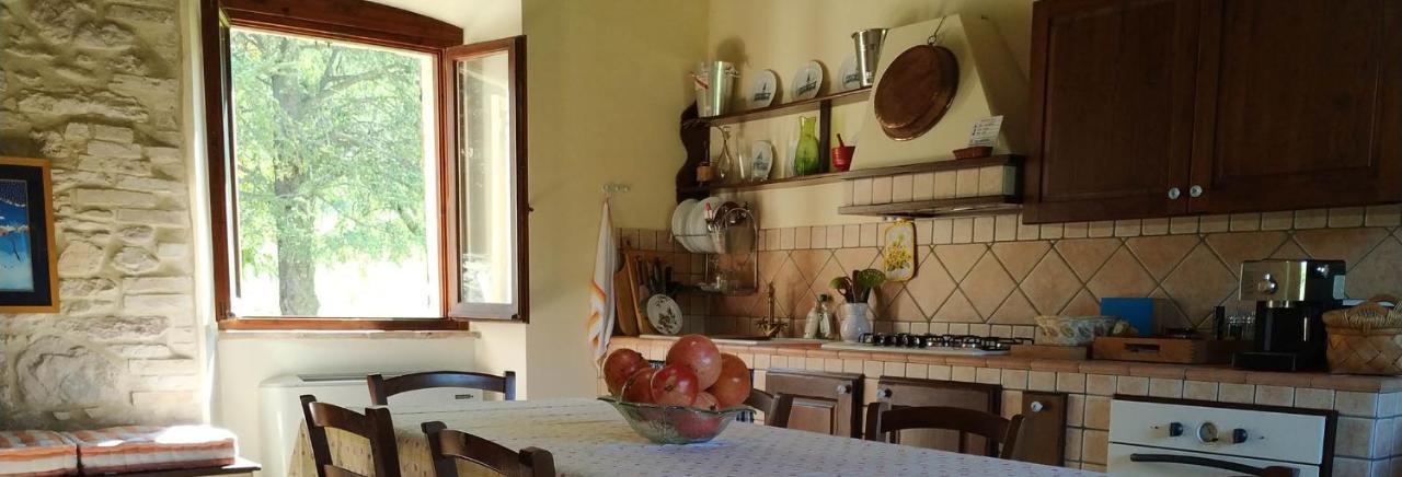Apartment with Terrace,1417198455:JPEG